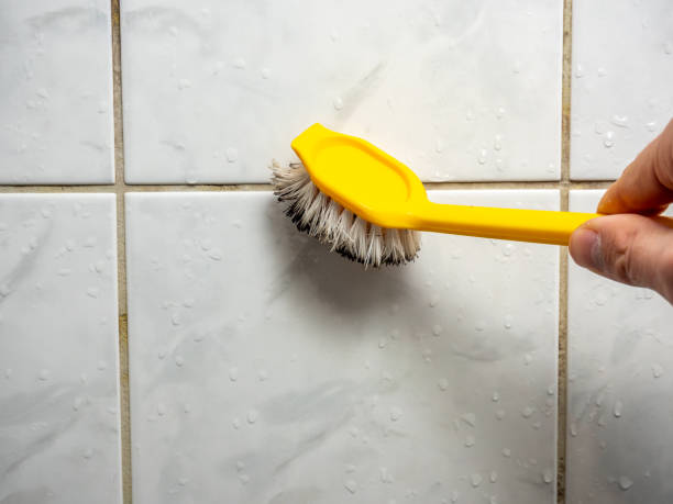 Best Mold Removal Near Me  in Fort Gibson, OK