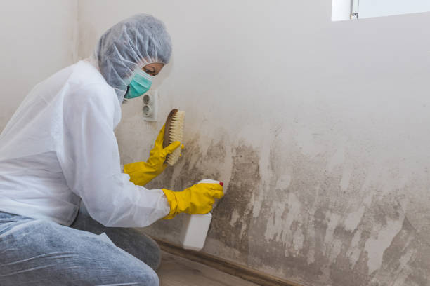 Best Emergency Mold Removal  in Fort Gibson, OK