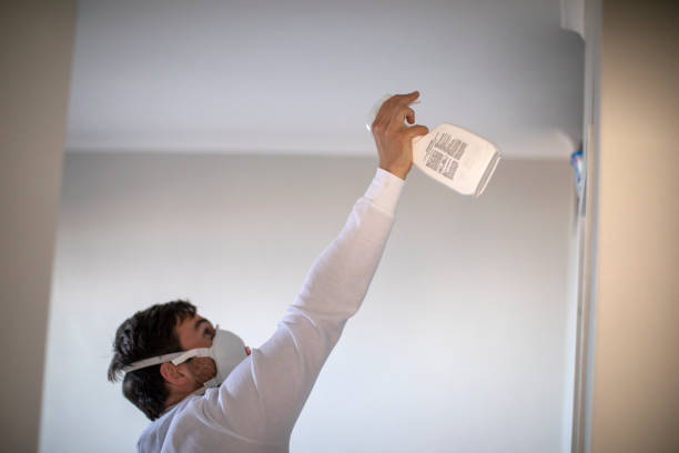 Best Best Mold Removal Companies  in Fort Gibson, OK