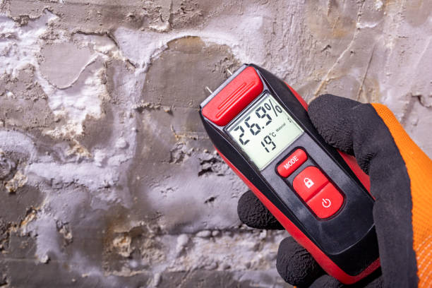  Fort Gibson, OK Mold Removal Pros