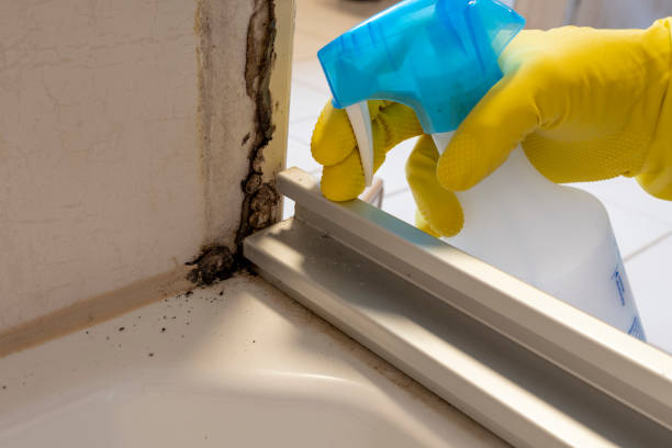 Best Crawl Space Mold Removal  in Fort Gibson, OK