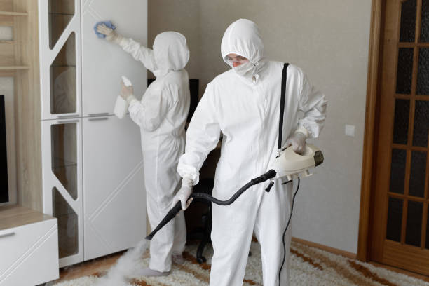 Best Mold Cleaning Services  in Fort Gibson, OK