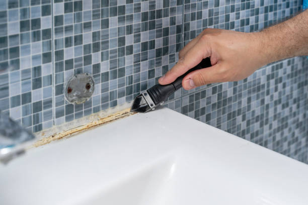 Best Mold Removal Company Near Me  in Fort Gibson, OK