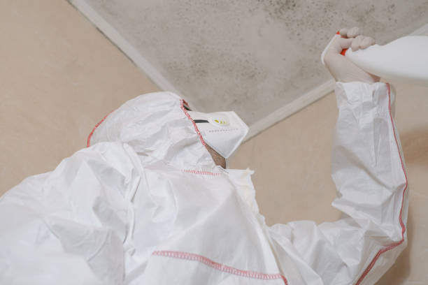 Best Affordable Mold Removal  in Fort Gibson, OK