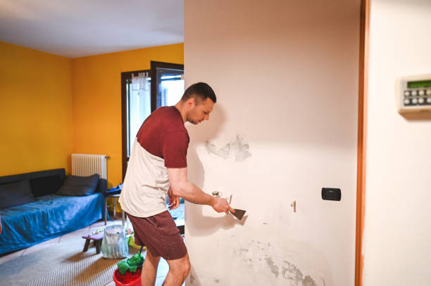 Best Commercial Mold Removal  in Fort Gibson, OK